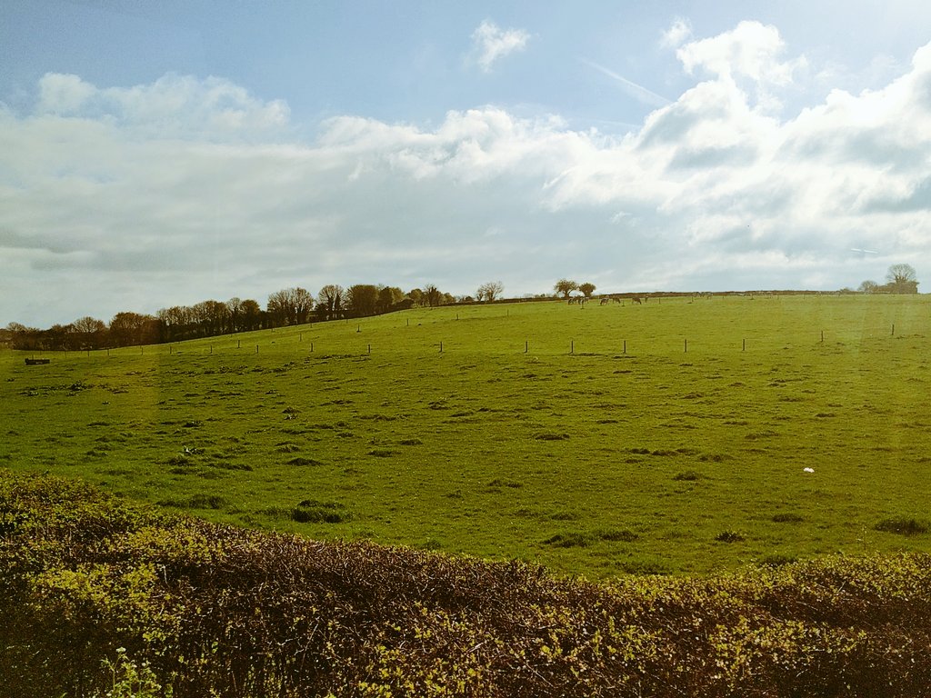 The view from on board Mervyn's Coaches route 95 in Springvale